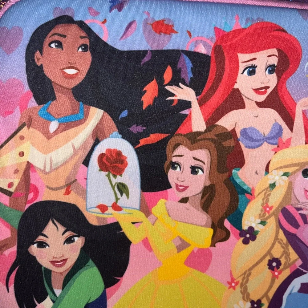 Disney princess electronic carrying case